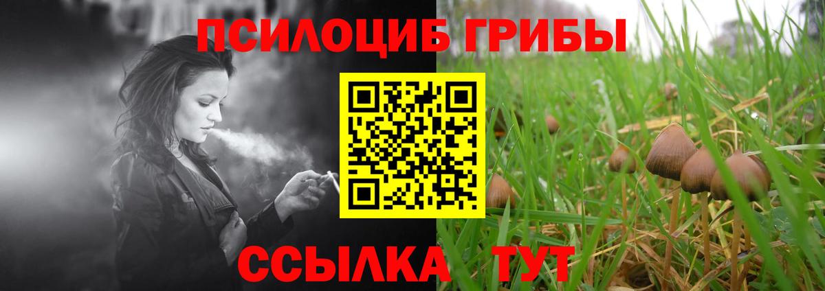 Псилоцибиновые грибы мицелий  Вход с VPN  Псилоцибиновые грибы MAGIC MUSHROOMS  Бердск 