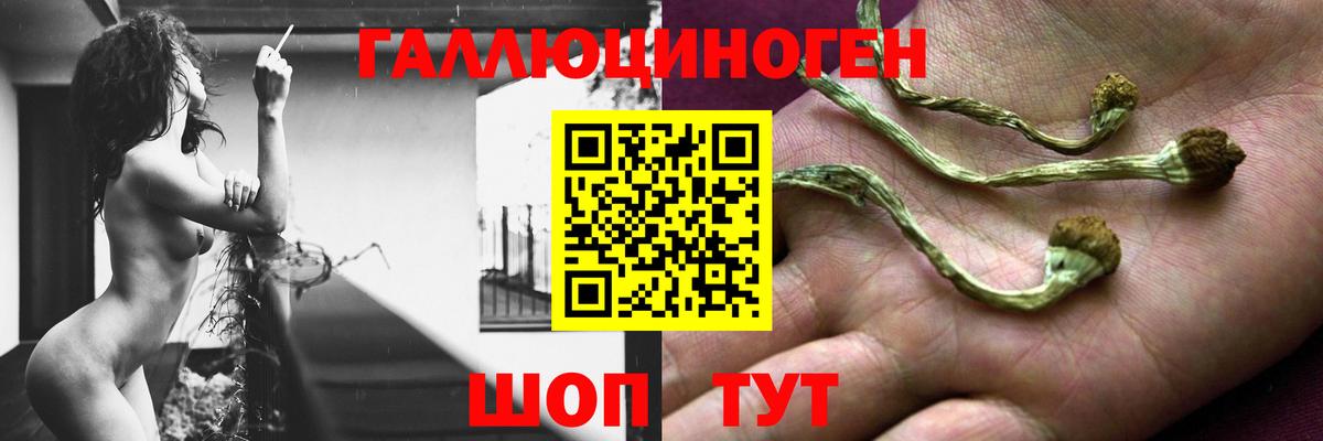 Псилоцибиновые грибы ЛСД Бердск